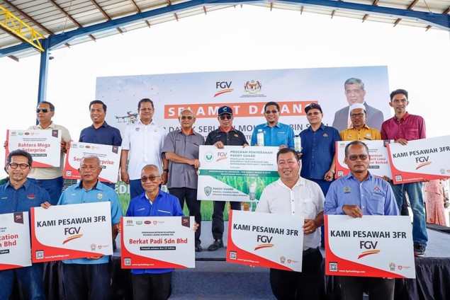 Sawah padi Sungai Besar